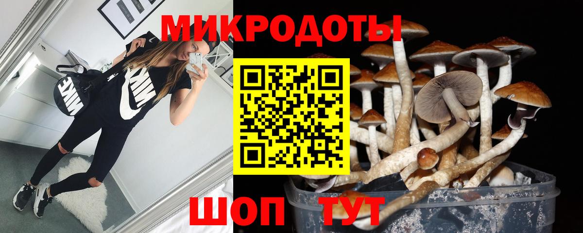 Псилоцибиновые грибы прущие грибы Людиново